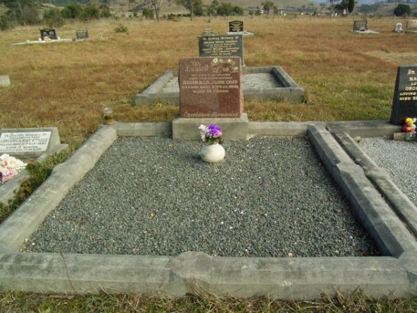 Full-size image