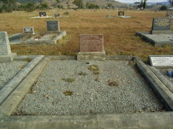 Full-size image
