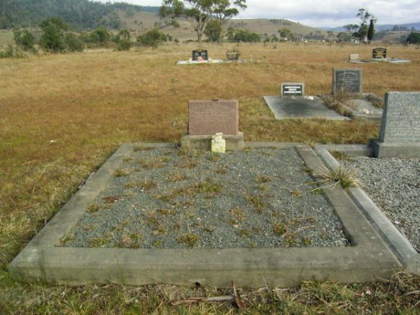 Full-size image