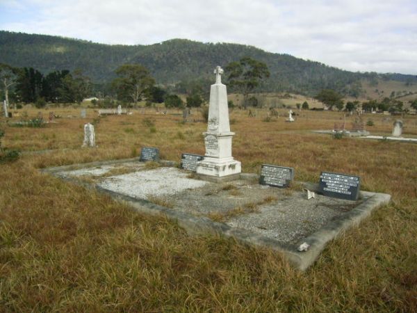 Full-size image