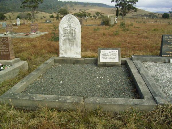 Full-size image