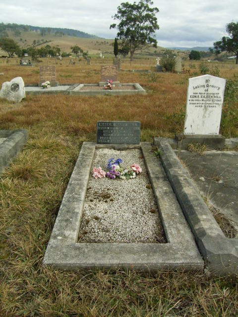 Full-size image