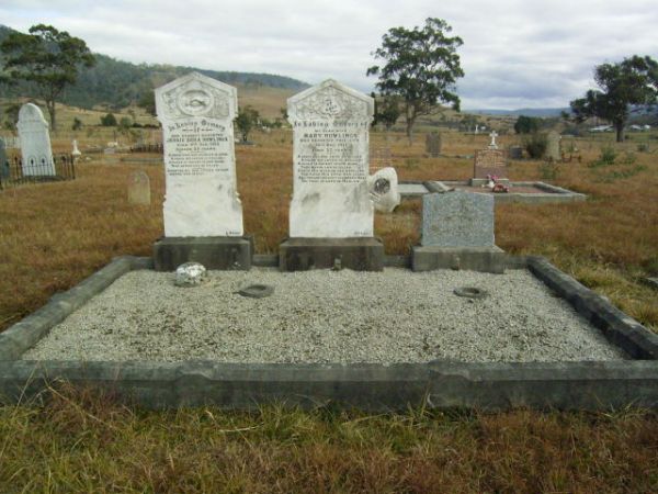 Full-size image