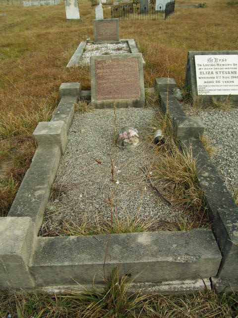 Full-size image