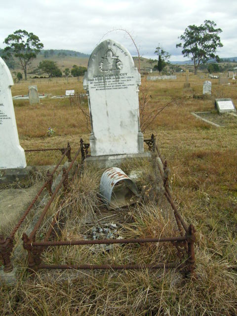 Full-size image