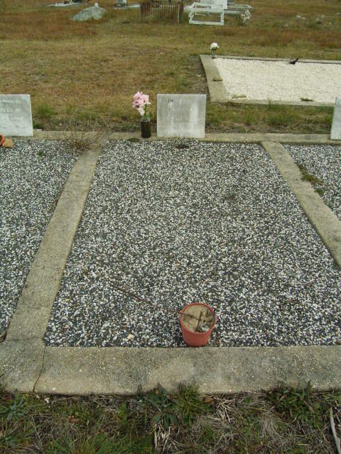 Full-size image