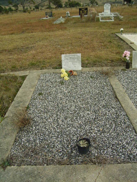Full-size image