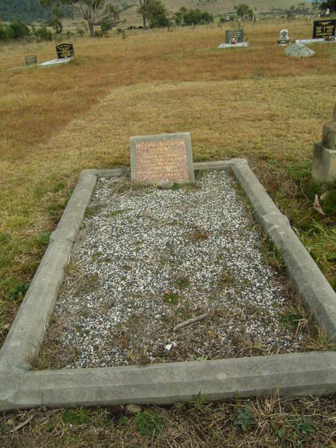 Full-size image
