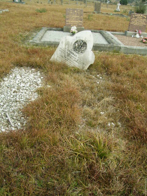 Full-size image