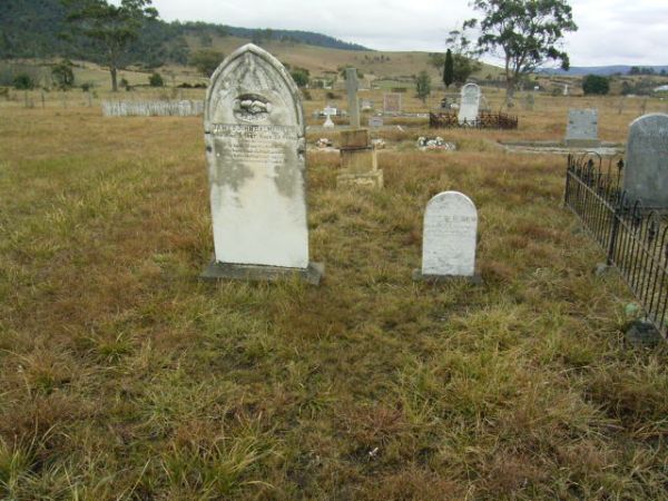 Full-size image