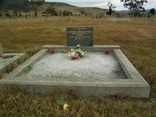 Full-size image