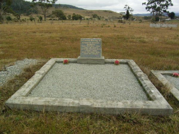Full-size image