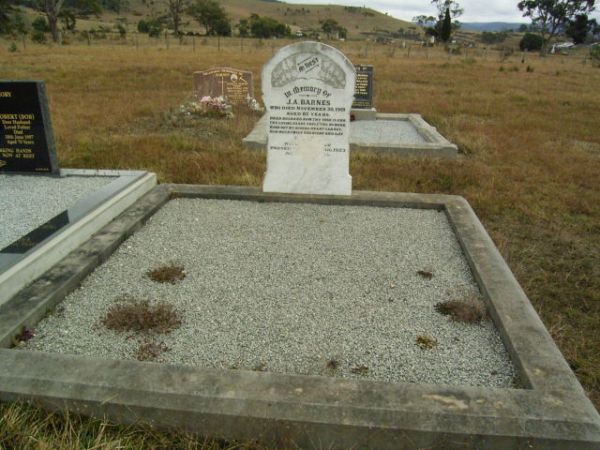 Full-size image