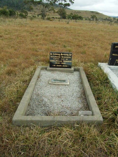Full-size image