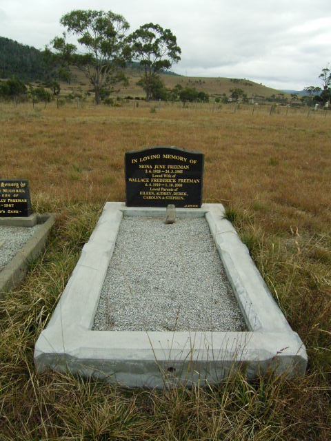 Full-size image