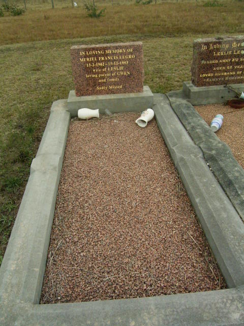Full-size image