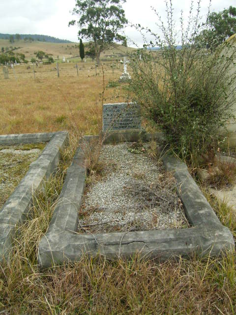 Full-size image