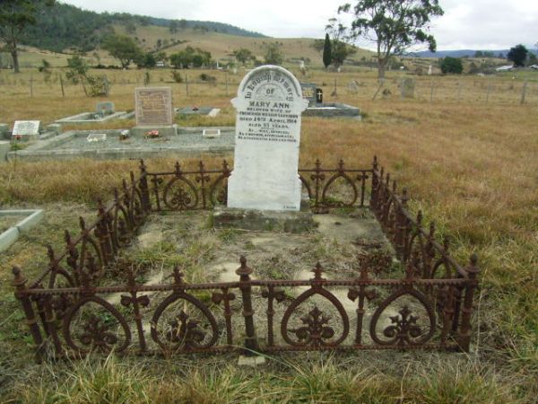 Full-size image