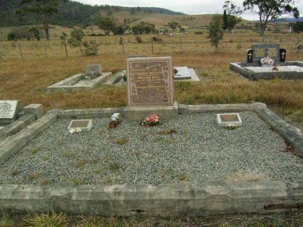 Full-size image