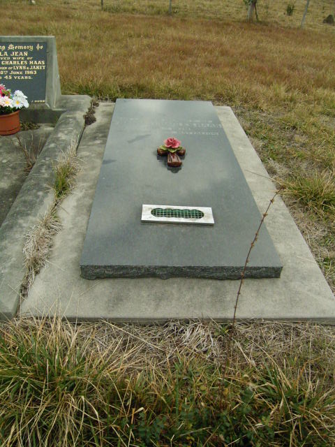 Full-size image