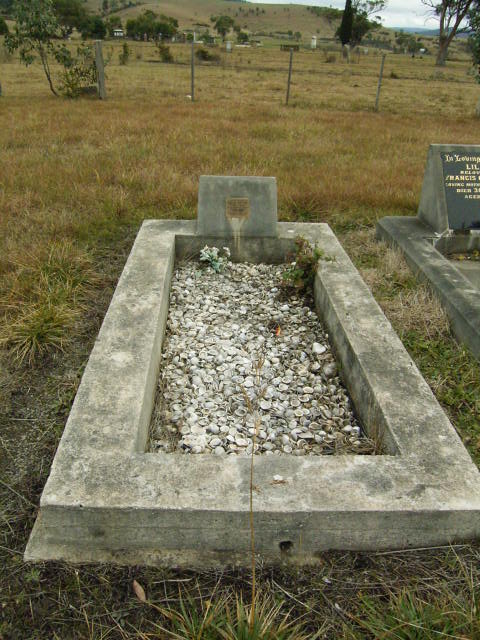 Full-size image