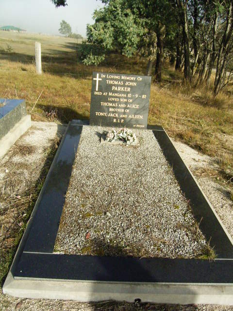 Full-size image