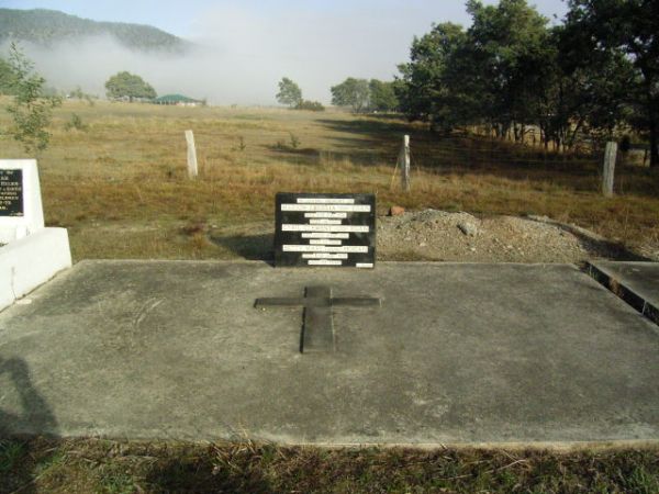 Full-size image
