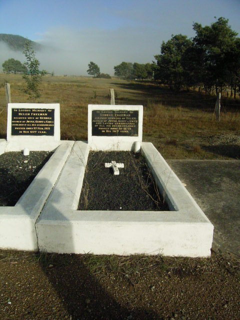 Full-size image