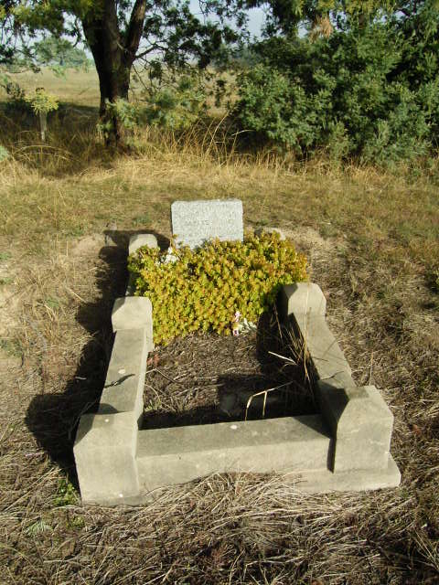 Full-size image