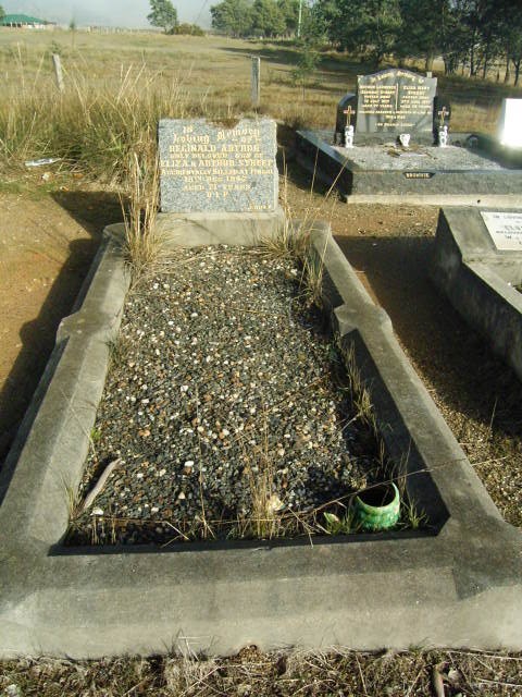 Full-size image