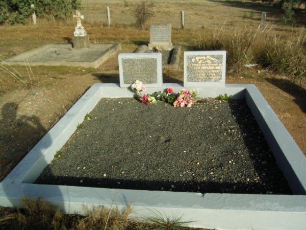 Full-size image