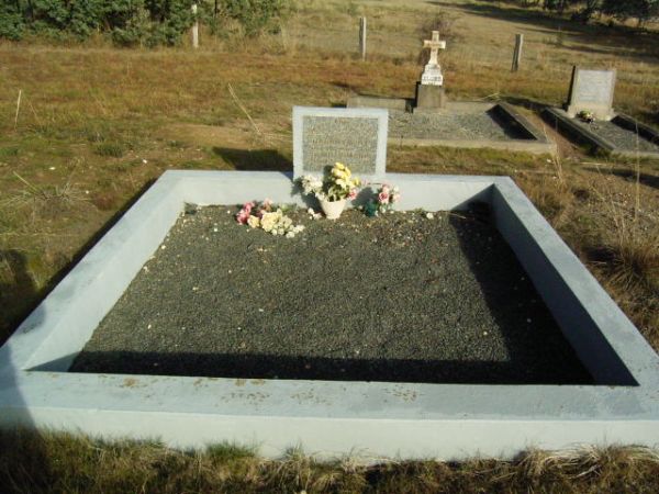 Full-size image