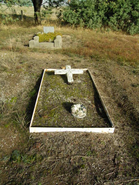 Full-size image