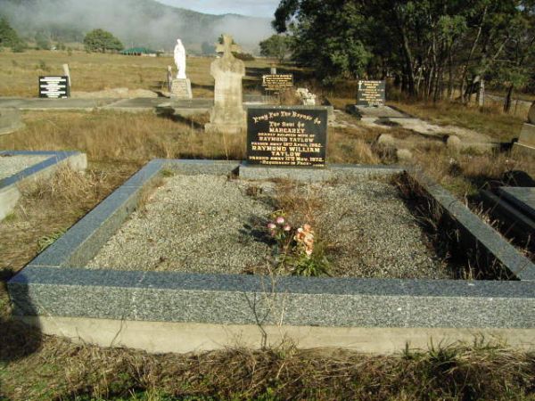 Full-size image