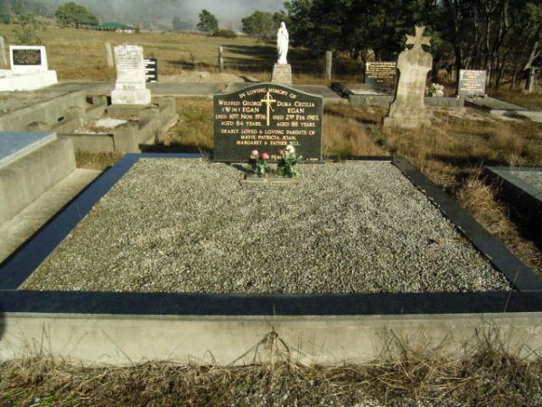 Full-size image