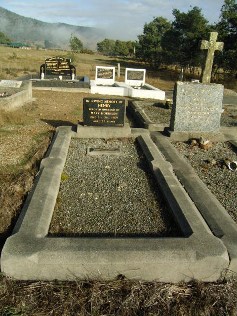 Full-size image