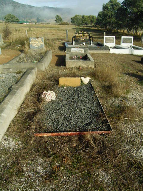 Full-size image