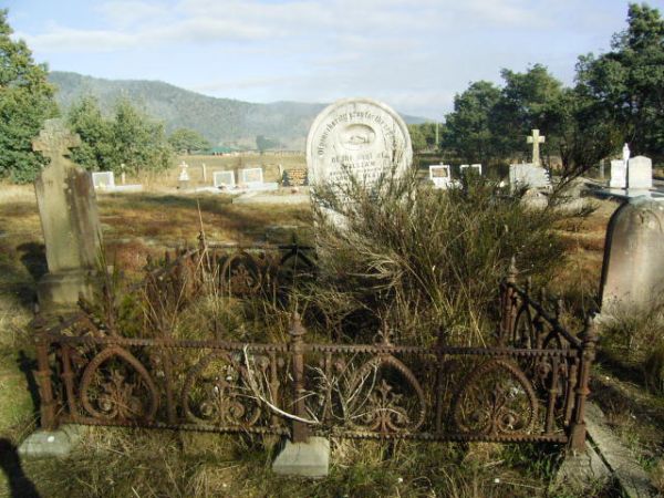 Full-size image