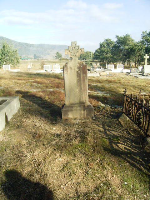 Full-size image