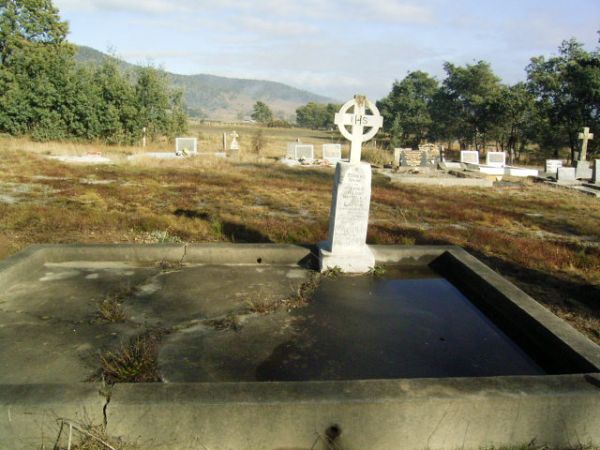 Full-size image
