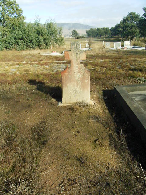 Full-size image