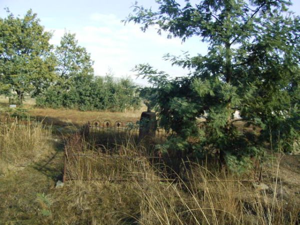 Full-size image