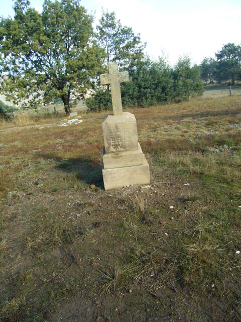Full-size image