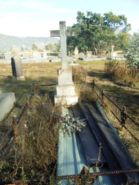Full-size image