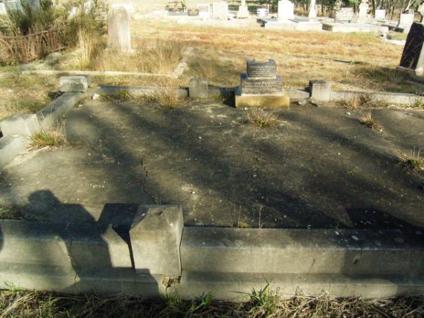 Full-size image