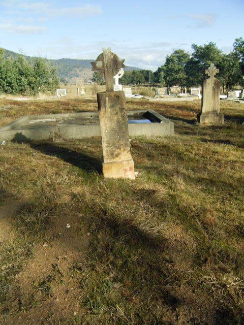 Full-size image