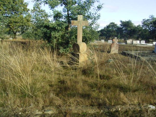 Full-size image