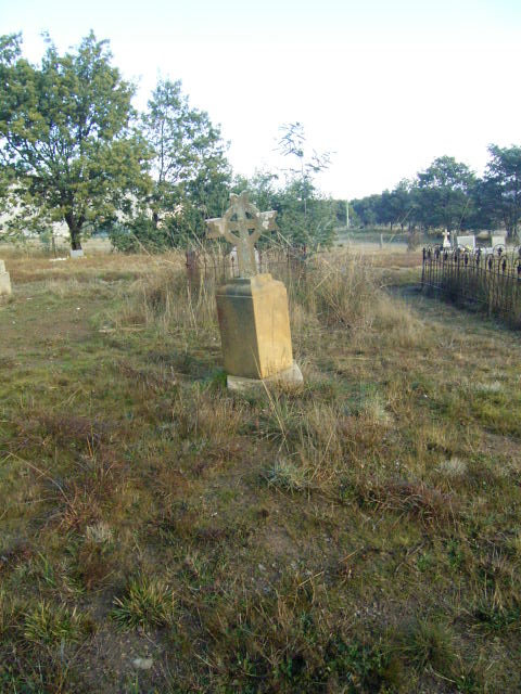 Full-size image