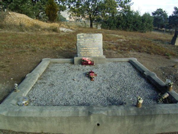 Full-size image