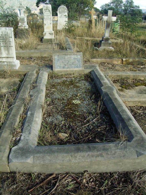 Full-size image